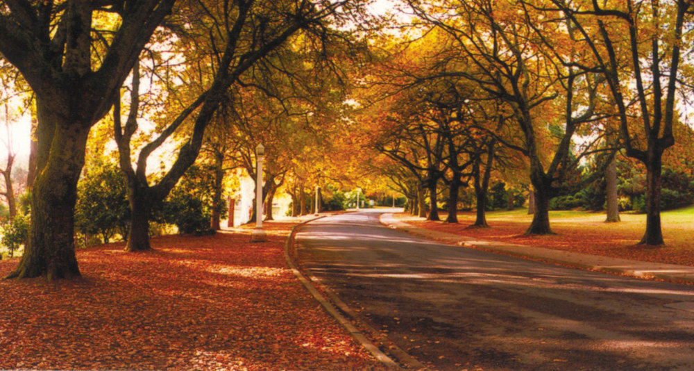 The Grand Oaks Resort Beechworth Eksteriør billede